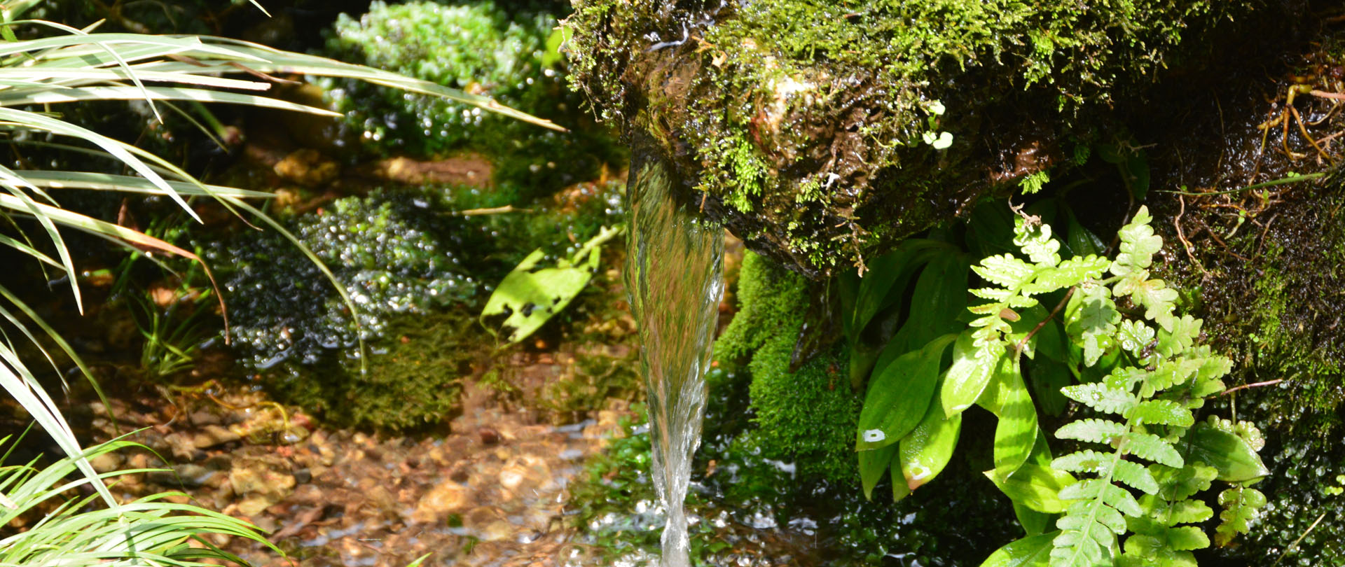 水、つながる、未来のために